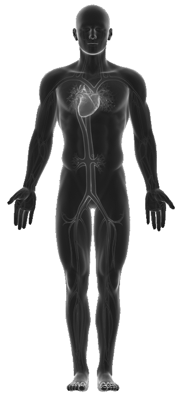 https://sendlernaturals.com/wp-content/uploads/2025/04/klh-1-min.png